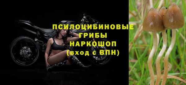 скорость Абинск