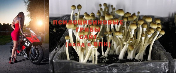 прущая мука Алзамай