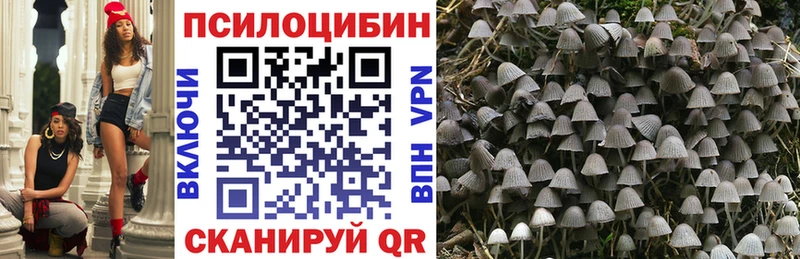 сколько стоит  Канск  Галлюциногенные грибы прущие грибы 