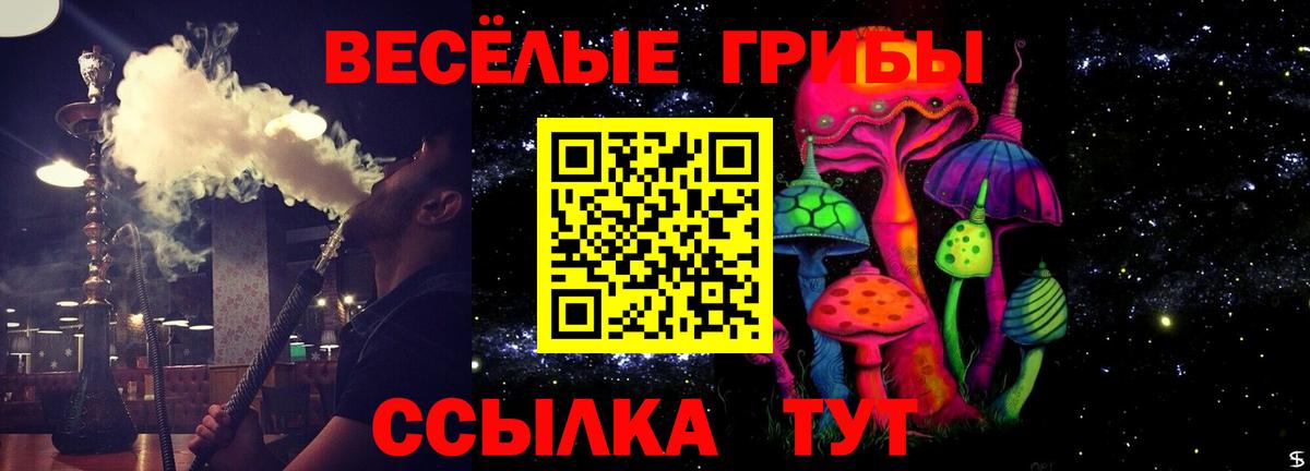 Псилоцибиновые грибы Cubensis  Вход с VPN  цены наркотик  Канск 